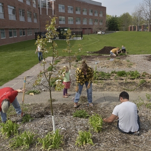 The Jane Goodall Center Permaculture Garden