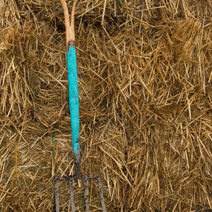 Youth Farm Equipment